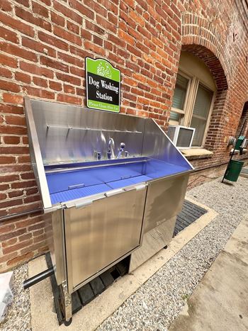 Pet washing station